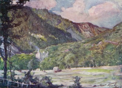 Een hooiveld bij Portmadoc (kleur litho) door Robert (after) Fowler