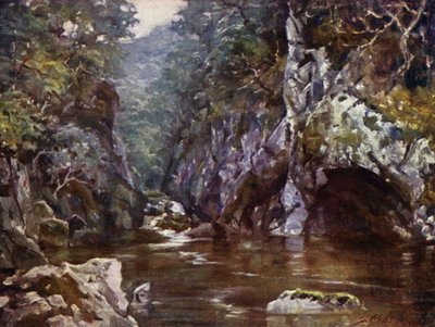Fairy Glen, Bettws-y-Coed door Robert (after) Fowler