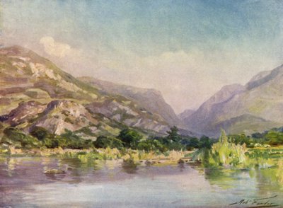Aan de rivier Seiont, Carnarvonshire, avondgloed (kleur litho) door Robert (after) Fowler