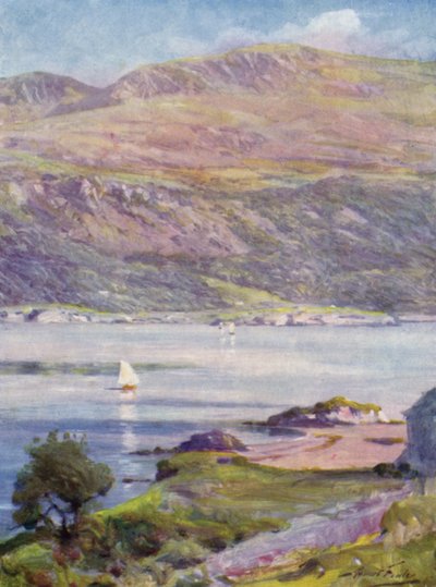 Zonnige Middag, Cardigan Bay door Robert (after) Fowler