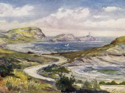 Uitzicht bij Mumbles, Swansea door Robert (after) Fowler