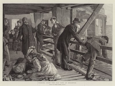 Vissen vanaf de Oude Pier in Brighton door Robert Barnes