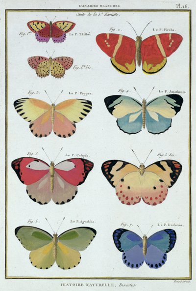 Vlinders uit 