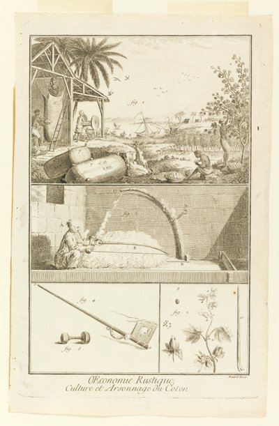 "Cultuur en Brand van Katoen" uit Diderot