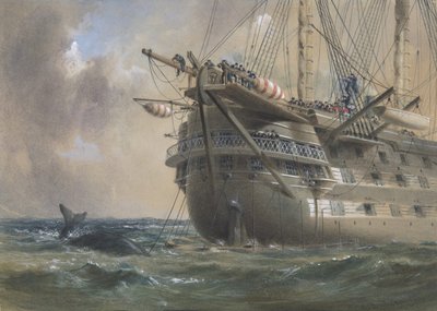H.M.S. Agamemnon legt de Atlantische Telegraafkabel in 1858: een Walvis Kruist de Lijn, 1865-66 door Robert Charles Dudley