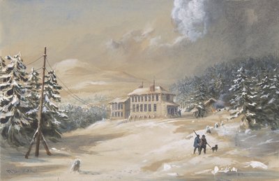 Trinity Bay, Newfoundland, buitenaanzicht van het telegraafhuis door Robert Charles Dudley