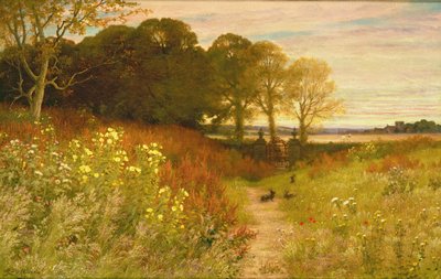 Landschap met Wilde Bloemen en Konijnen door Robert Collinson