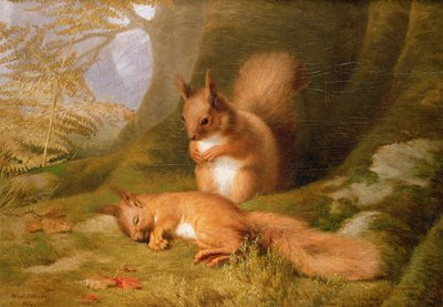 Eekhoorns in een Bos, 1874 door Robert Collinson