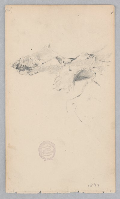 Tijgervel tapijt door Robert Frederick Blum