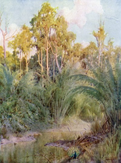 Het Huis van de Pauw door Robert George Talbot Kelly