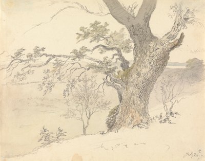 Een Eik in Englefield Park door Robert Hills