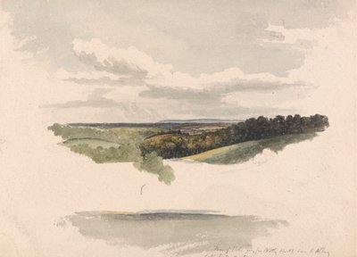 Tussen Netley Heath en Albury door Robert Hills