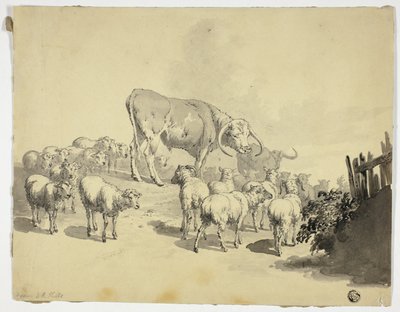 Koeien en schapen door Robert Hills