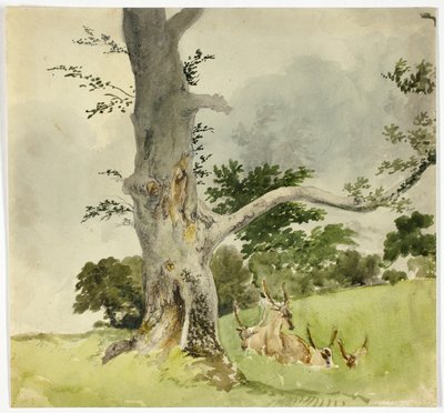 Hertenfamilie onder een boom door Robert Hills