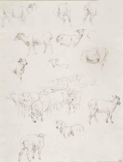Kudde schapen, na 1794 door Robert Hills