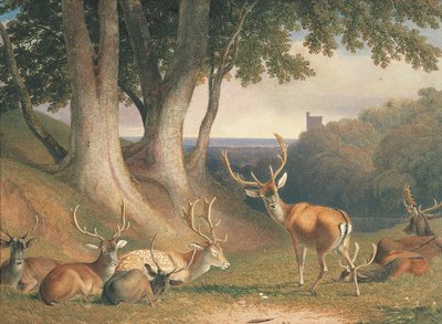 Landschap met herten, ca. 1800 door Robert Hills