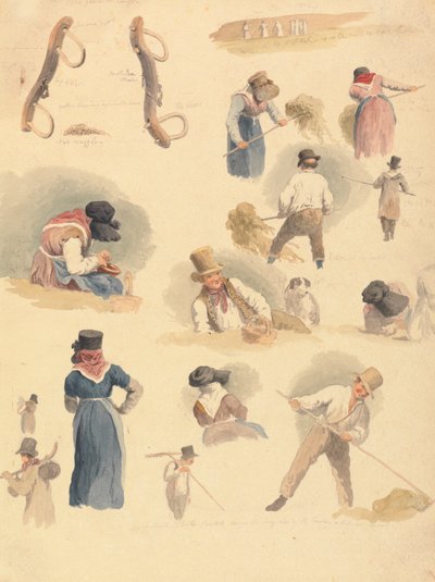 Studies van Hooibouwers door Robert Hills