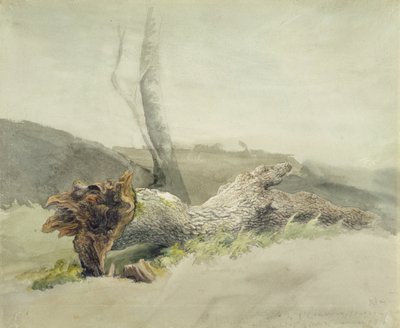 De gevallen boom, c.1804 door Robert Hills