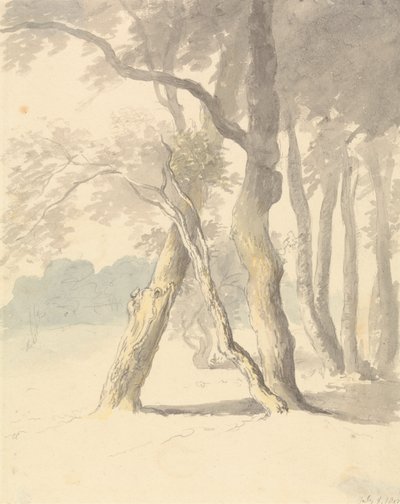 Bosstudie door Robert Hills