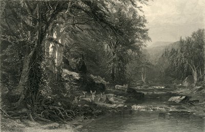 De Adirondack-bossen, 1874 door Robert Hinshelwood