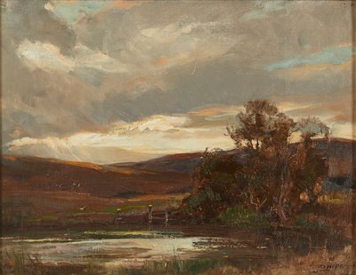 Avond op de Swire Road, Ettrick Bridge door Robert Hope