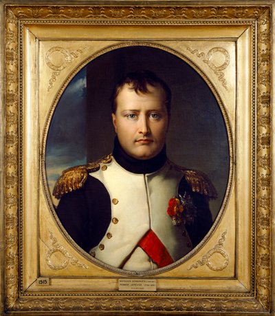 Portret van Napoleon Bonaparte door Robert Lefevre