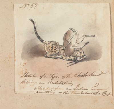 Een cheetah die een antilope doodt door Robert Mabon