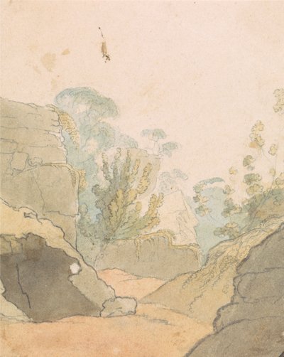 Landschap met Rotsen door Robert Mabon