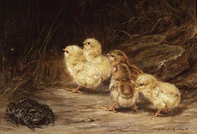 Kuikens en pad door Robert Morley