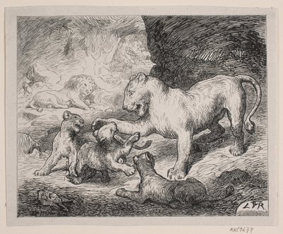 Leeuwenwelpen. Illustratie bij Chr. Winthers 