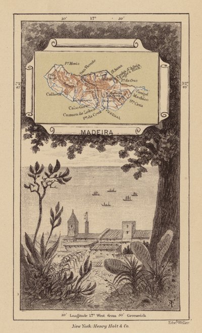 Madeira door Robert Pritchett