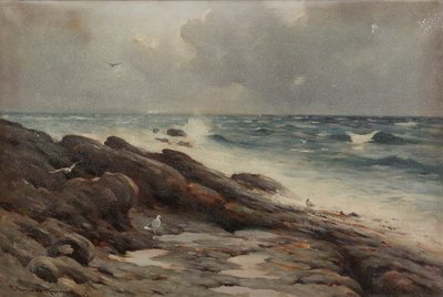 Rotsachtige Kustlijn door Robert Russell MacNee