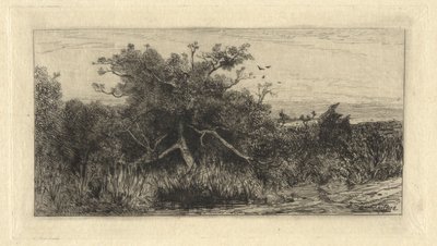 Knoestige boom door Robert Swain Gifford
