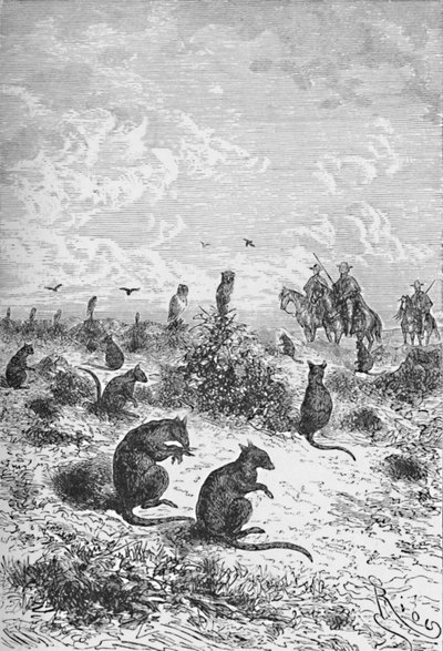 Bizcachas, ca. 1885, 1890 door Robert Taylor Pritchett