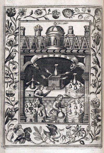 Twee alchemisten die drankjes maken door Robert Vaughn
