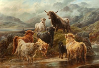 Hooglandvee, 1894 door Robert Watson