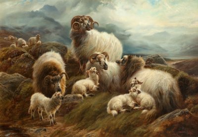 Schapen in een landschap door Robert Watson