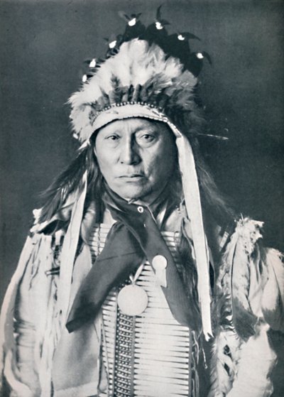 Een Sioux-hoofdman in zijn oorlogskleuren door Robert Wilson Shufeldt