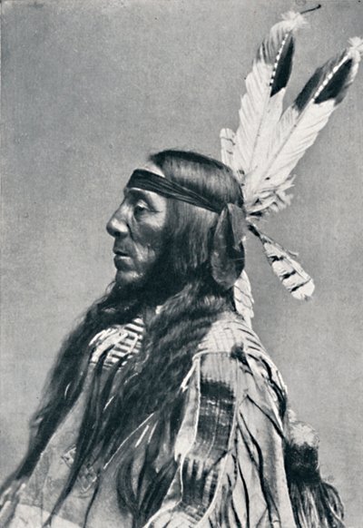 Profielaanzicht van een Sioux, 1912 door Robert Wilson Shufeldt