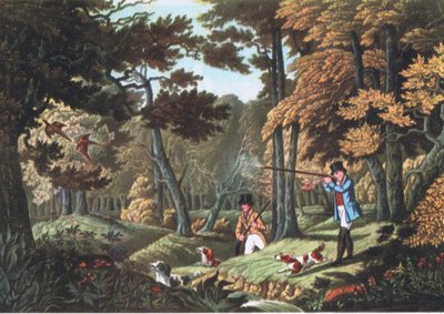 Fazantjacht bij Uxbridge, Natuur in Groot-Brittannië uitgegeven door Collins, 1946 door Robert the Elder Havell