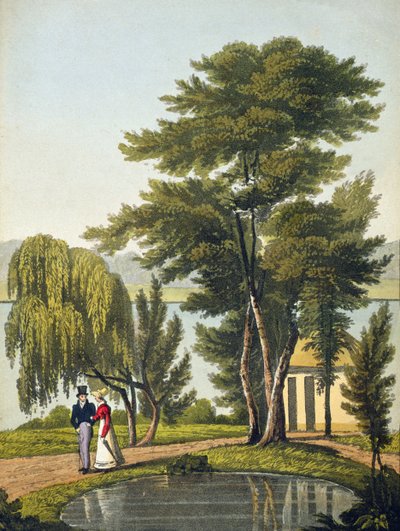 Clifton, uit 