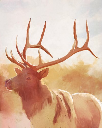 Stier Eland door Roberta Murray