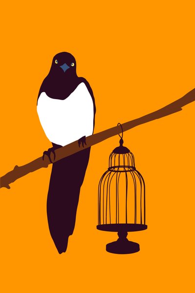 Tuinvariëteit Ekster, 2022 door Roberta Murray