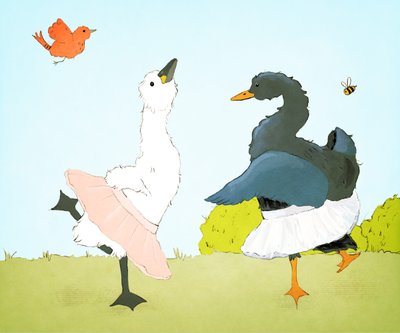Zwanenmeer door Roberta Murray