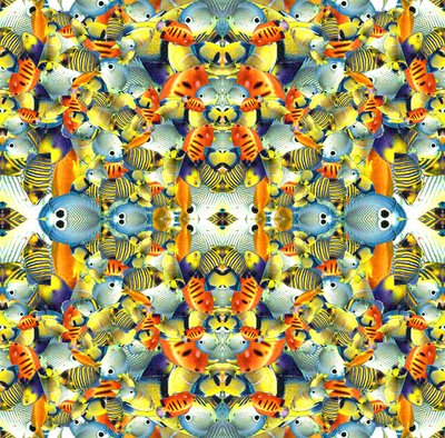 Kaleidoscoop Vis Tegel door Robyn Parker
