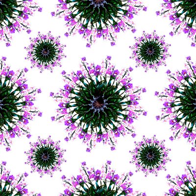 Orchidee Wereld door Robyn Parker