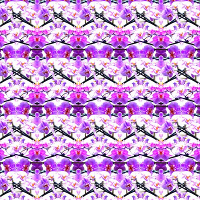 Paarse Orchidee Herhaling door Robyn Parker