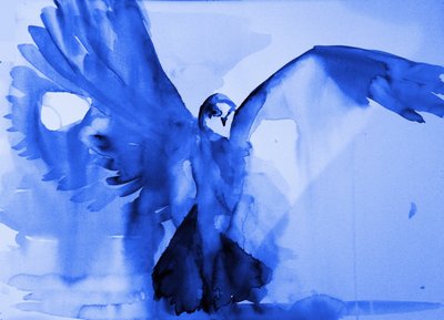 De vlucht van de blauwe duif door RodMacIver