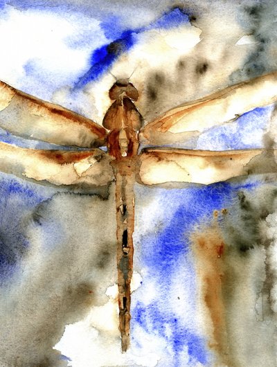  door RodMacIver