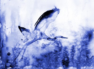Sierlijke blauwe reiger door RodMacIver